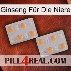 Ginseng Für Die Niere 25